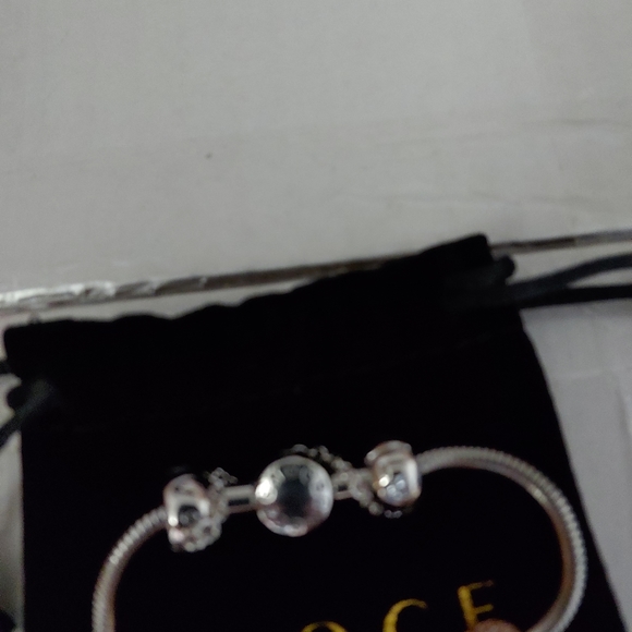 NWT GNOCE bracelet and 5 charms - Picture 9 of 15